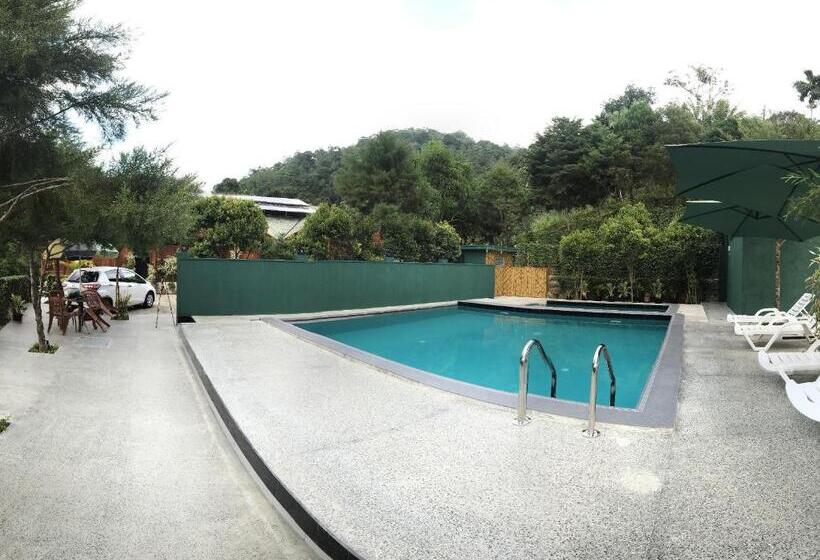 スタンダードルーム, Cottage 2010