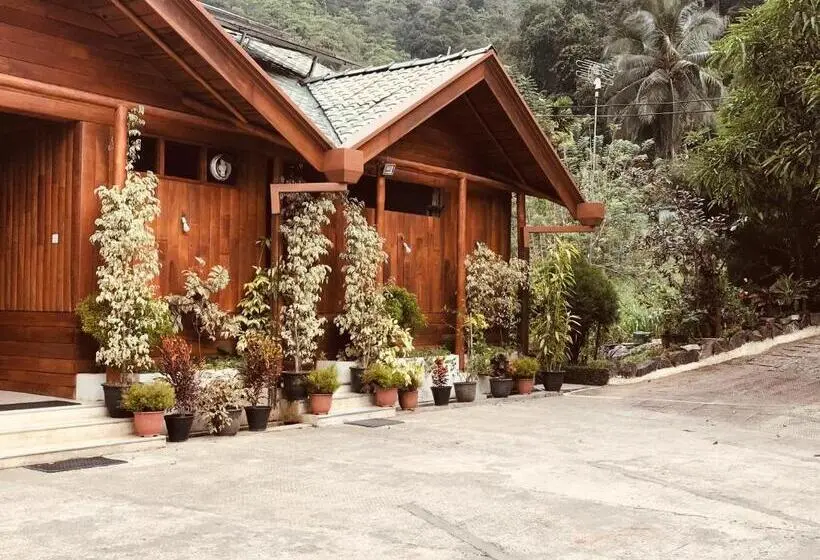 スイート（家族用）, Cottage 2010