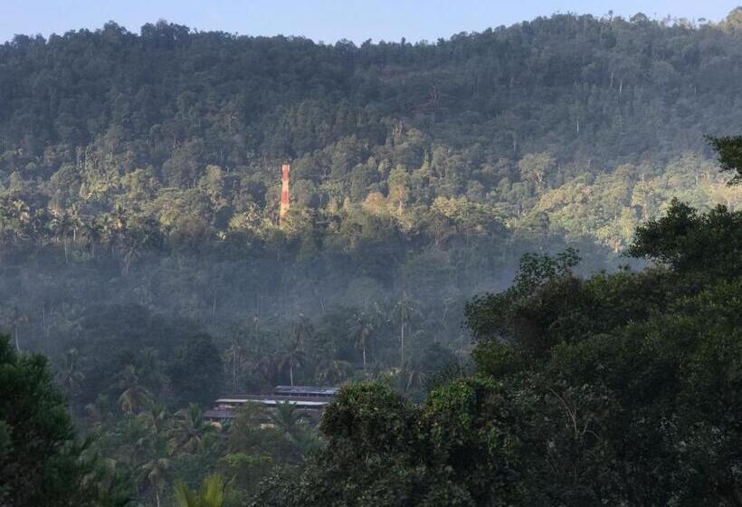 バルコニー付きスタンダードルーム, Cottage 2010