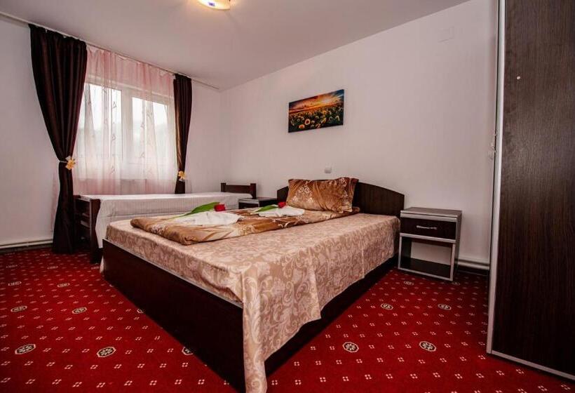 스탠다드 룸, Pensiunea Tora