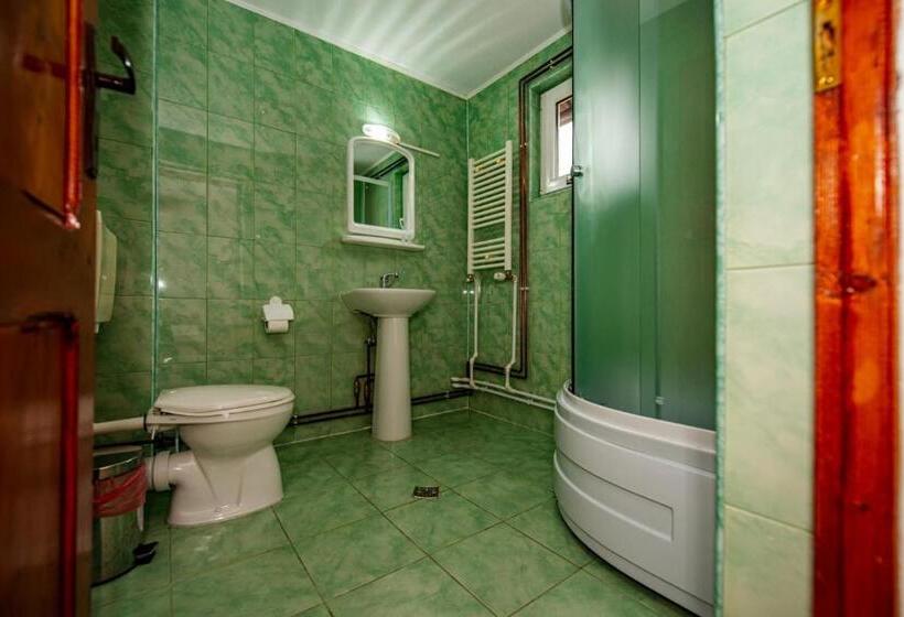 스탠다드 룸, Pensiunea Tora