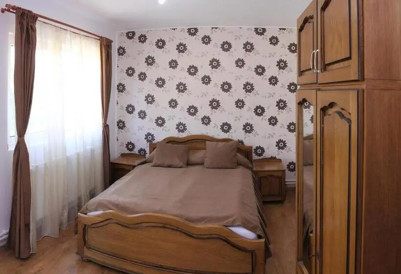 Standard-huone, Pensiunea Gaby