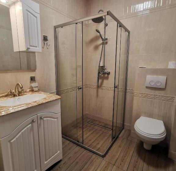 キングサイズベッドのスーペリアルーム, Pensiunea Gaby