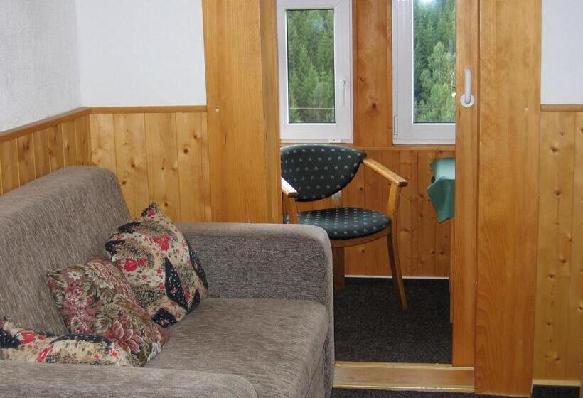 غرفة قياسية, Horský Dům