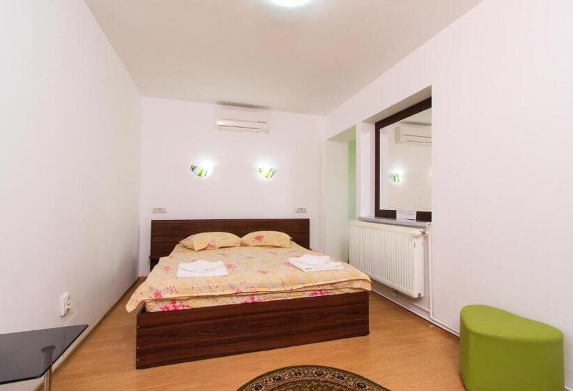 스탠다드 룸, Pensiunea Andrei Rm Valcea