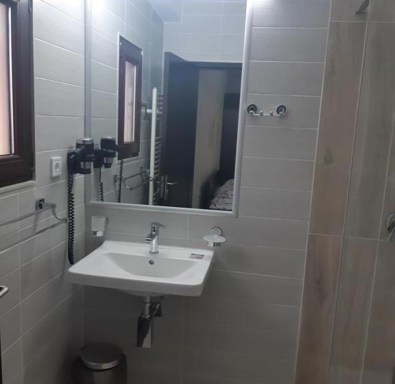 스탠다드 룸, Pensiunea Andrei Rm Valcea