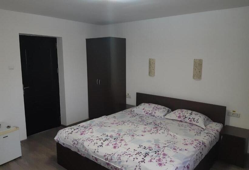 스탠다드 룸, Pensiunea Andrei Rm Valcea