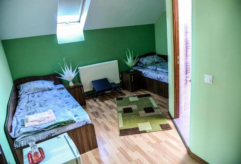 펜트하우스 룸, Pensiunea Andrei Rm Valcea