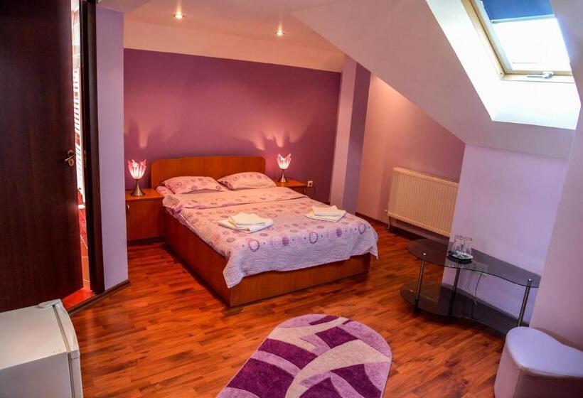 기본룸, Pensiunea Andrei Rm Valcea