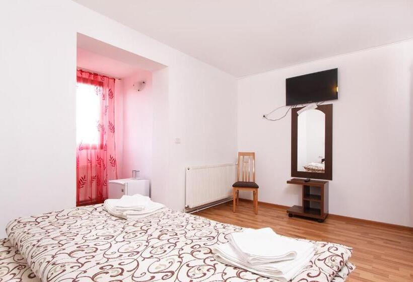 스탠다드 룸, Pensiunea Andrei Rm Valcea