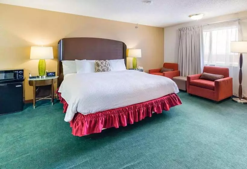 اتاق استاندارد با تخت بزرگ, Alliance Hotel And Suites