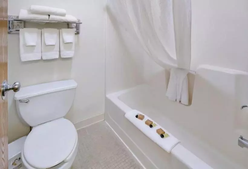 اتاق استاندارد با تخت بزرگ, Alliance Hotel And Suites