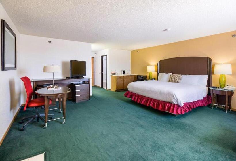 Люкс Deluxe Кровать Кинг, Alliance Hotel And Suites