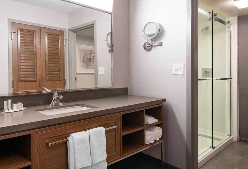 Люкс с Балконом, Courtyard Austin South