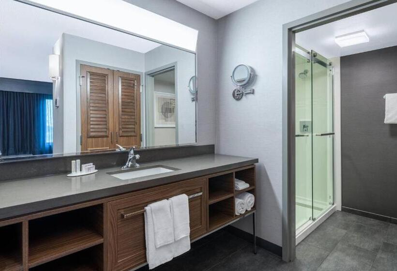 Люкс с Балконом, Courtyard Austin South