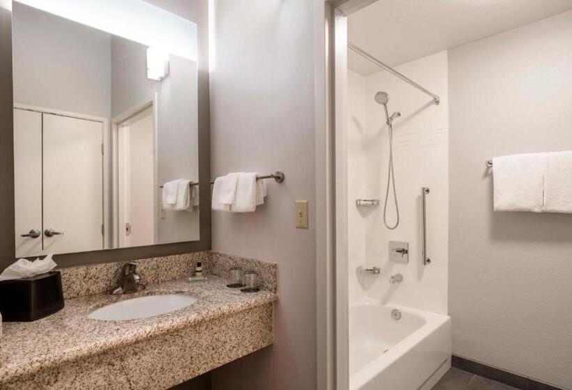 Номер Стандарт, Courtyard Denver Southwest/lakewood