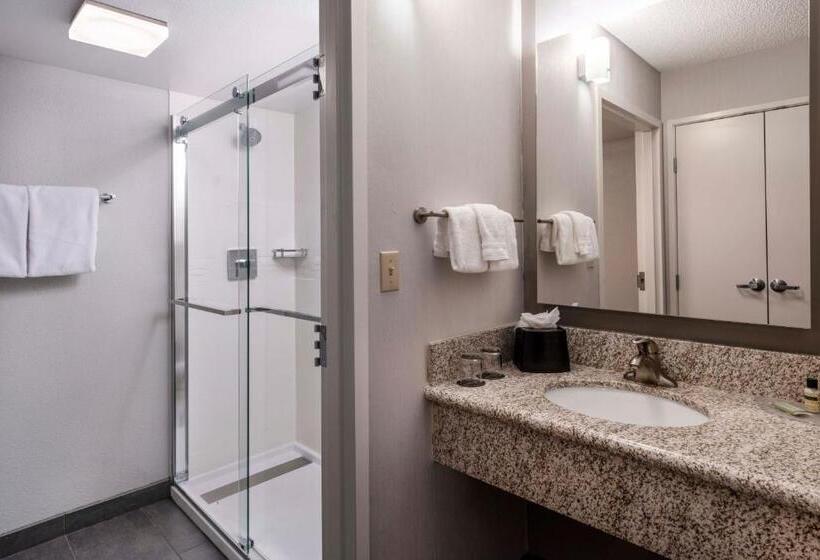 غرفة قياسية, Courtyard Denver Southwest/lakewood