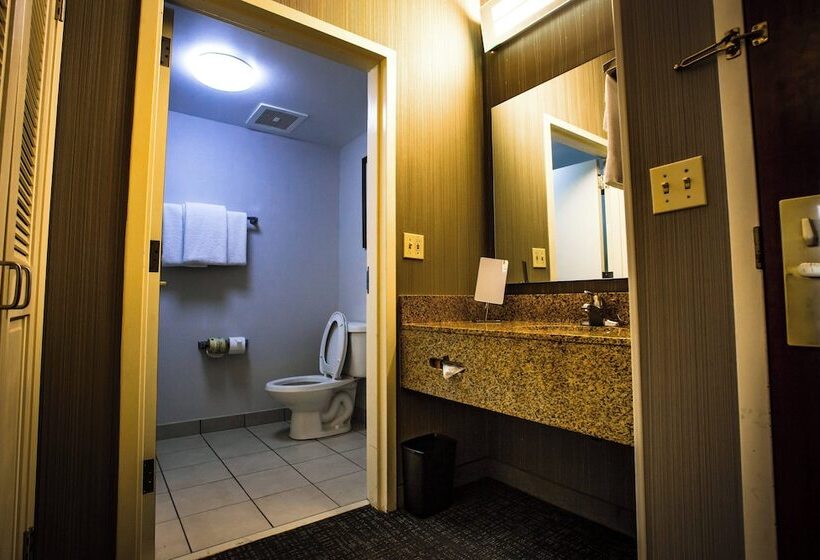 Номер Стандарт 2 Двуспальные Кровати, Courtyard Memphis East/bill Morris Parkway