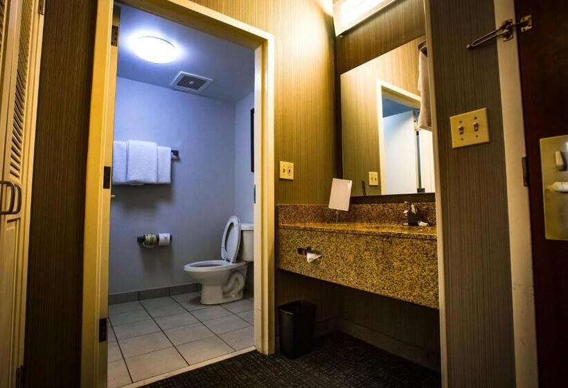 Стандартный Номер Кровать Кинг, Courtyard Memphis East/bill Morris Parkway