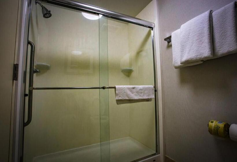 Chambre Standard Lit King Size Adaptée aux Personnes à Mobilité Réduite, Courtyard Memphis East/bill Morris Parkway