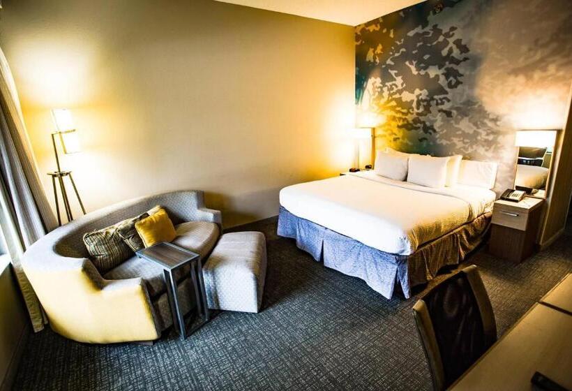 Chambre Standard Lit King Size Adaptée aux Personnes à Mobilité Réduite, Courtyard Memphis East/bill Morris Parkway