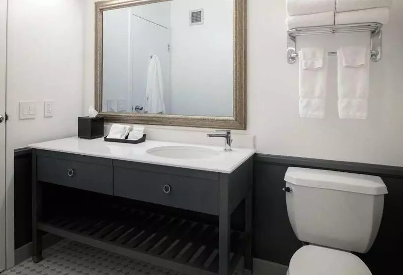 اتاق استاندارد با تخت بزرگ, Coventry Motor Inn