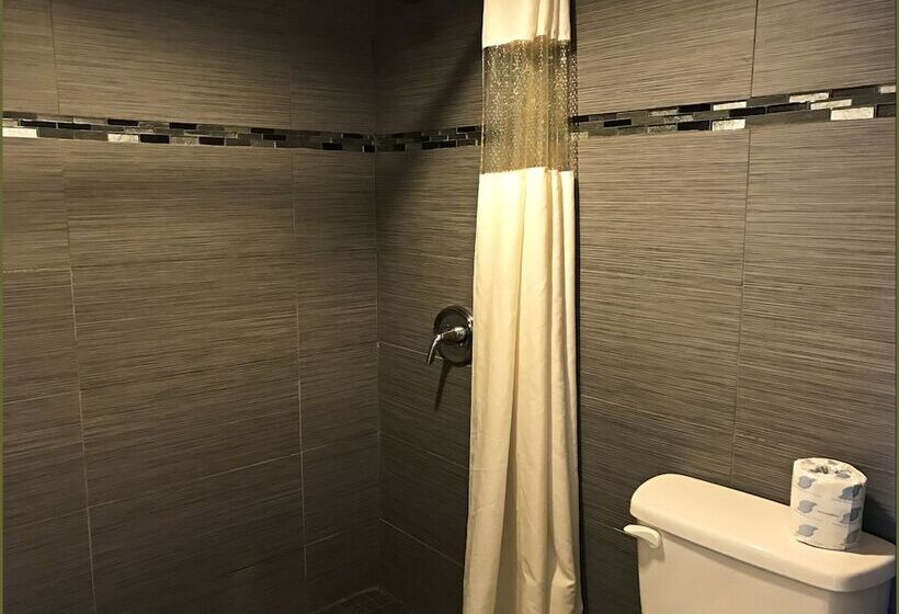 غرفه قياسيه سريرين مزدوجين, Stay Inn   Bartow