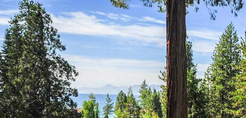 디럭스 스튜디오, Tahoe Vistana Inn