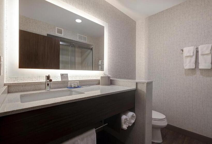 Номер Стандарт, Holiday Inn Express & Suites Ann Arbor University South, An Ihg