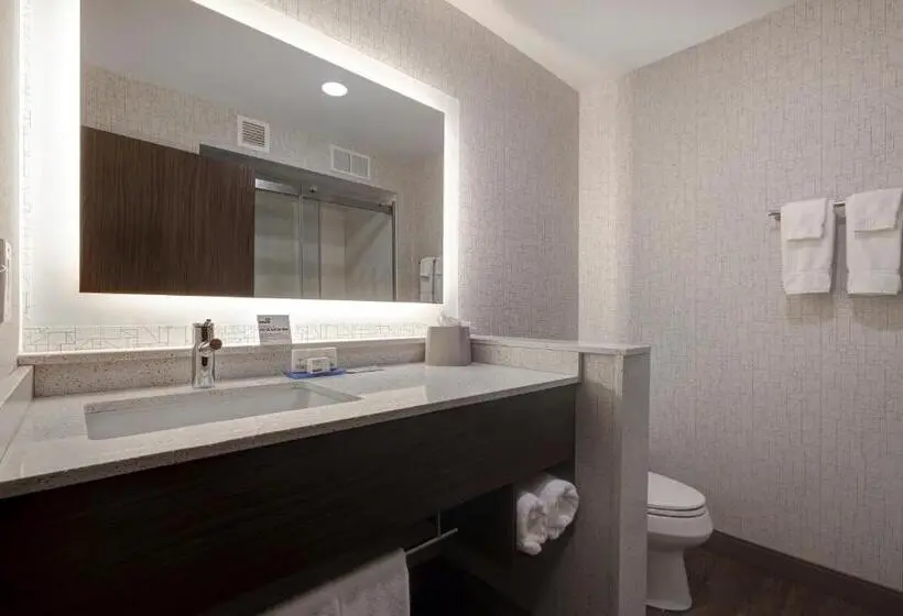 スタンダードルーム, Holiday Inn Express & Suites   Ann Arbor   University South, An Ihg