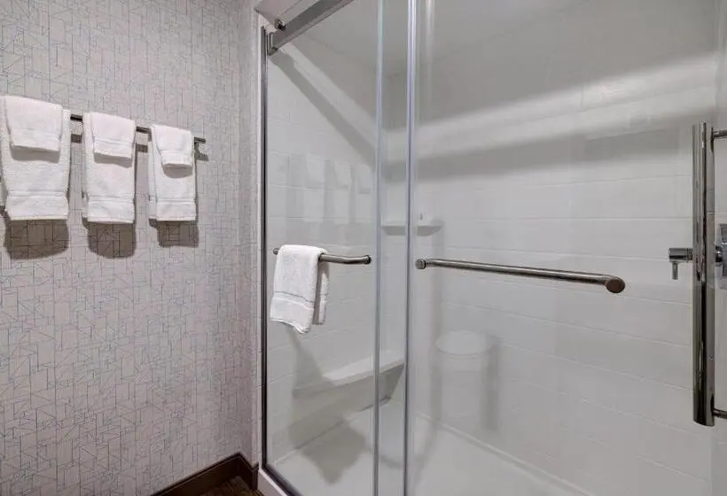 スタンダードルーム, Holiday Inn Express & Suites   Ann Arbor   University South, An Ihg