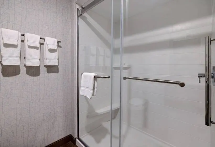 スイート, Holiday Inn Express & Suites   Ann Arbor   University South, An Ihg