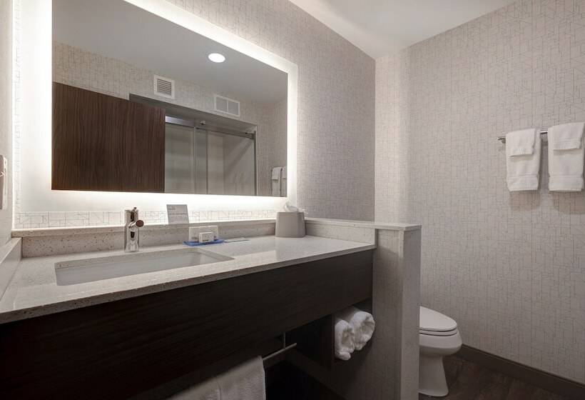 Люкс, Holiday Inn Express & Suites Ann Arbor University South, An Ihg