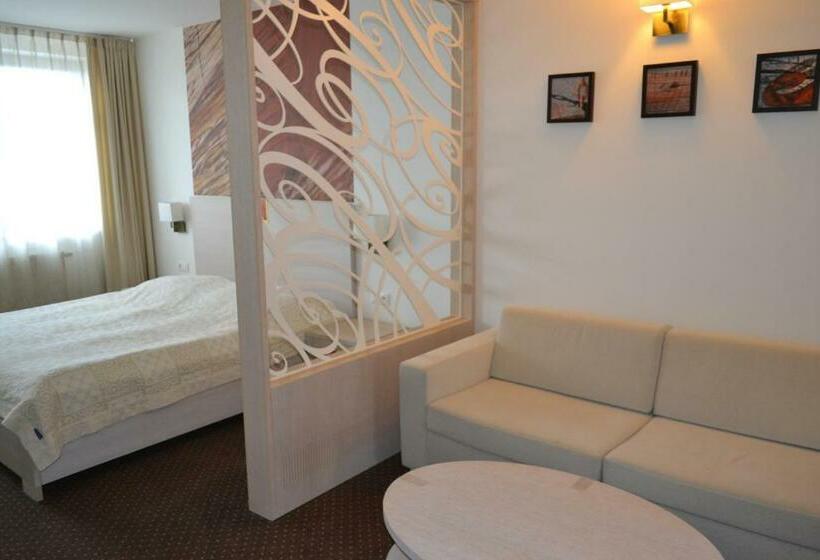 اتاق کلاس بیزنس, Slamený Dom & Spa