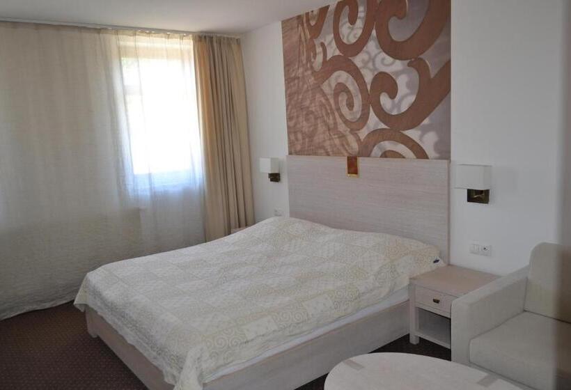 اتاق استاندارد, Slamený Dom & Spa