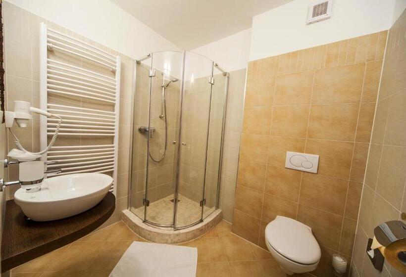 اتاق کلاس بیزنس, Slamený Dom & Spa