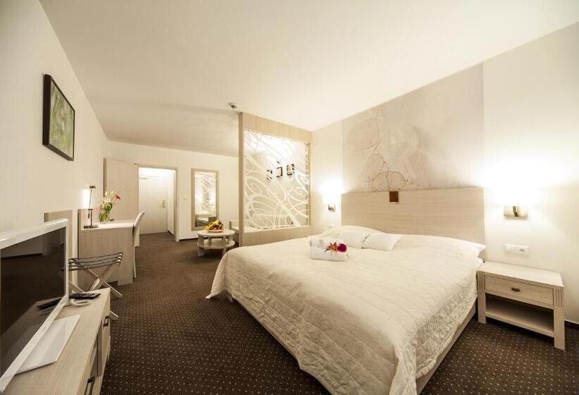 اتاق کلاس بیزنس, Slamený Dom & Spa