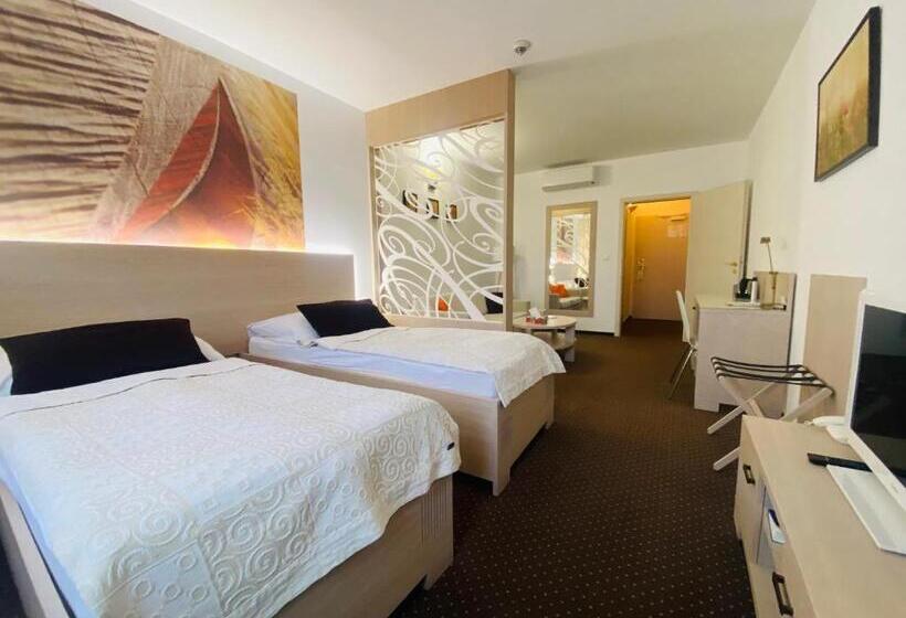 اتاق استاندارد, Slamený Dom & Spa