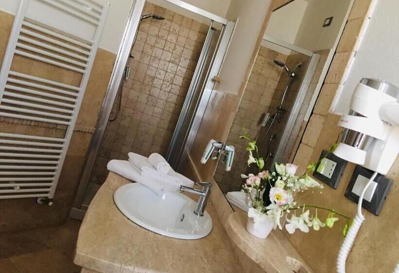 חדר סטנדרט, Regia