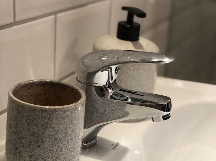 חדר סטנדרט יחיד, Lanskyrooms