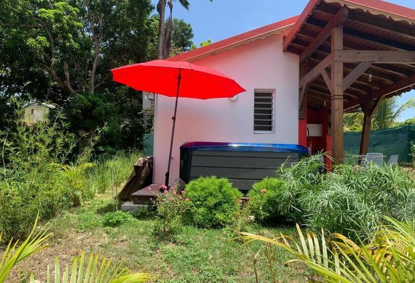 ویلای استاندارد با چشمانداز باغ, ô Ti Jacko