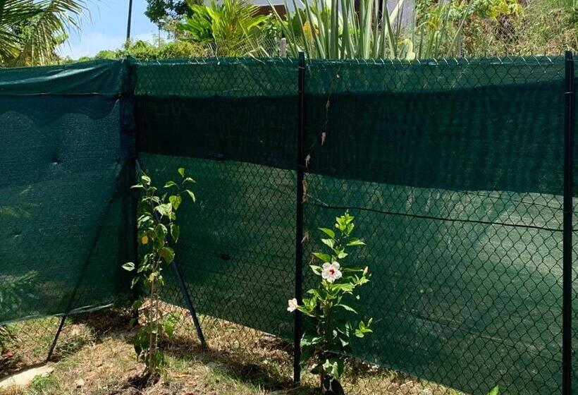 ویلای استاندارد با چشمانداز باغ, ô Ti Jacko