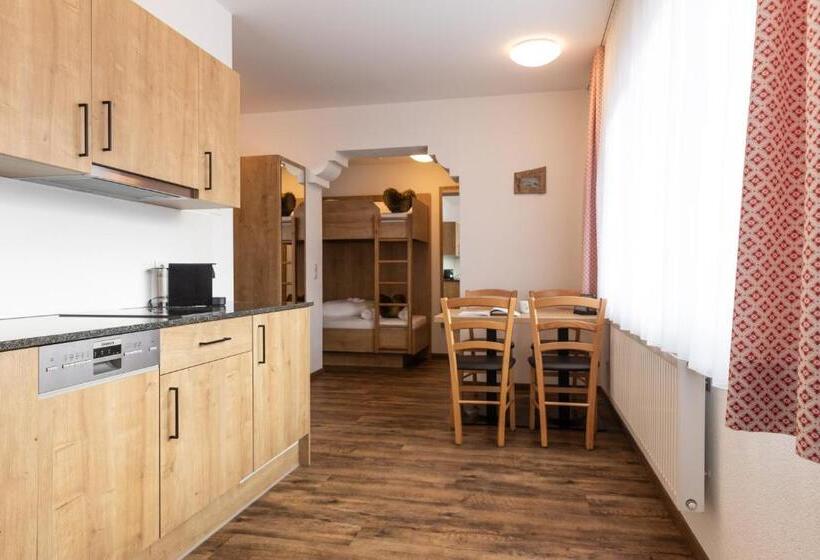 Апартаменты 1 Спальня, Pitztal Living