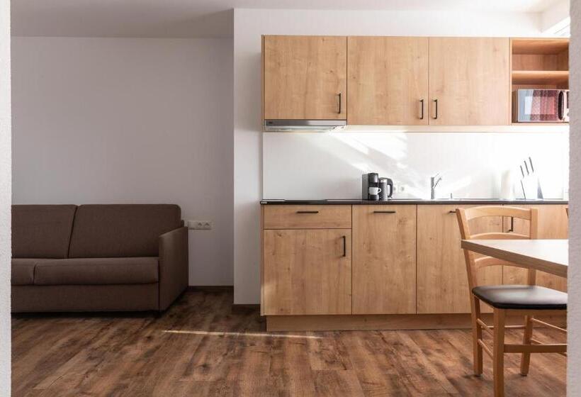 Апартаменты 1 Спальня, Pitztal Living