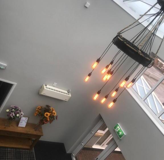 חדר משפחתי דלוקס, The Reubens