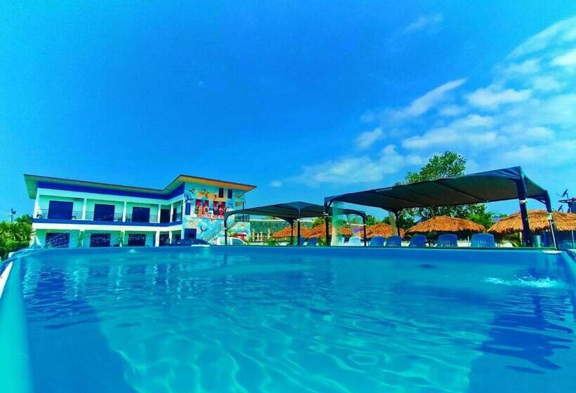 Четырехместный Номер Классик, Wixky