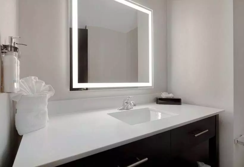 Standard-huone, Holiday Inn Express & Suites Kansas City Ku Medical Center, An Ihg