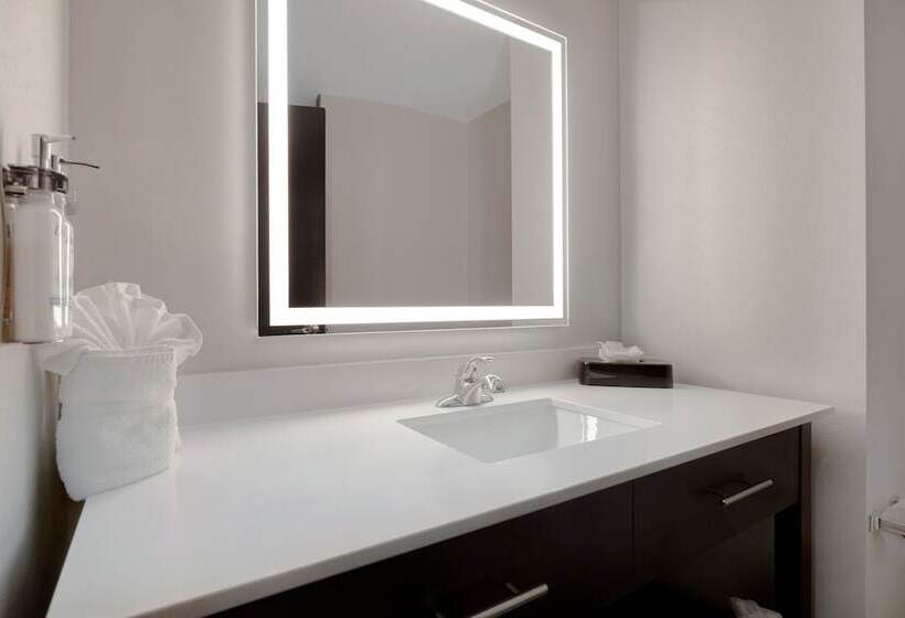 חדר סטנדרט, Holiday Inn Express & Suites   Kansas City Ku Medical Center, An Ihg