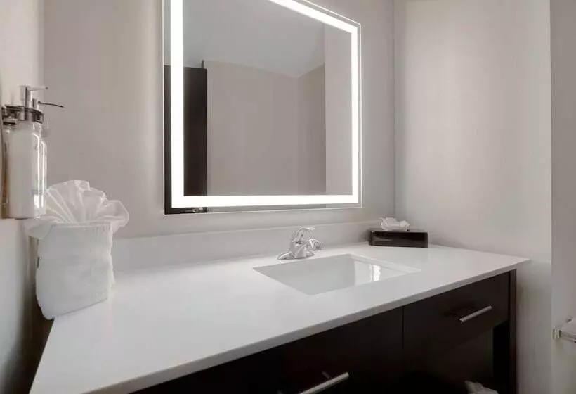 Standard-huone, Holiday Inn Express & Suites Kansas City Ku Medical Center, An Ihg