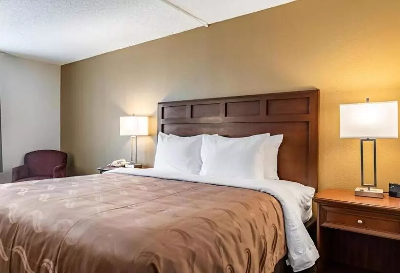 キングサイズベッドのスタンダードルーム, Quality Inn Bucyrus North